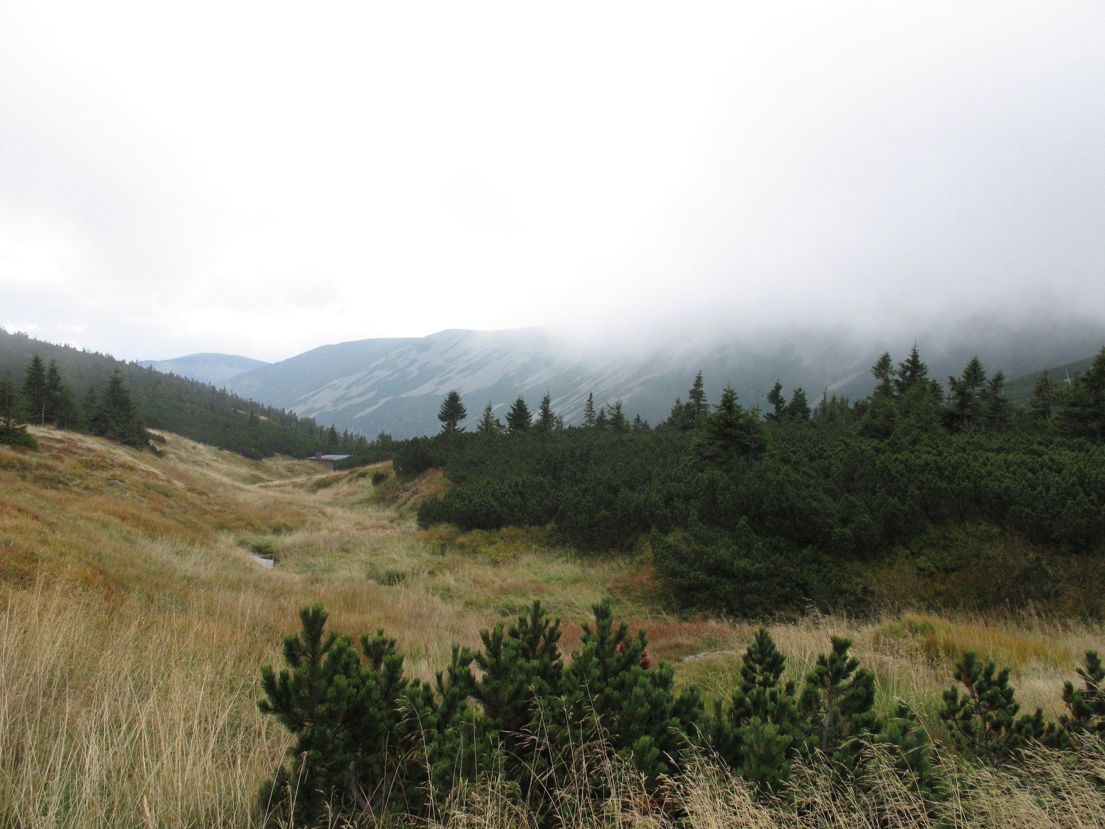 Photo by marek_ruczaj