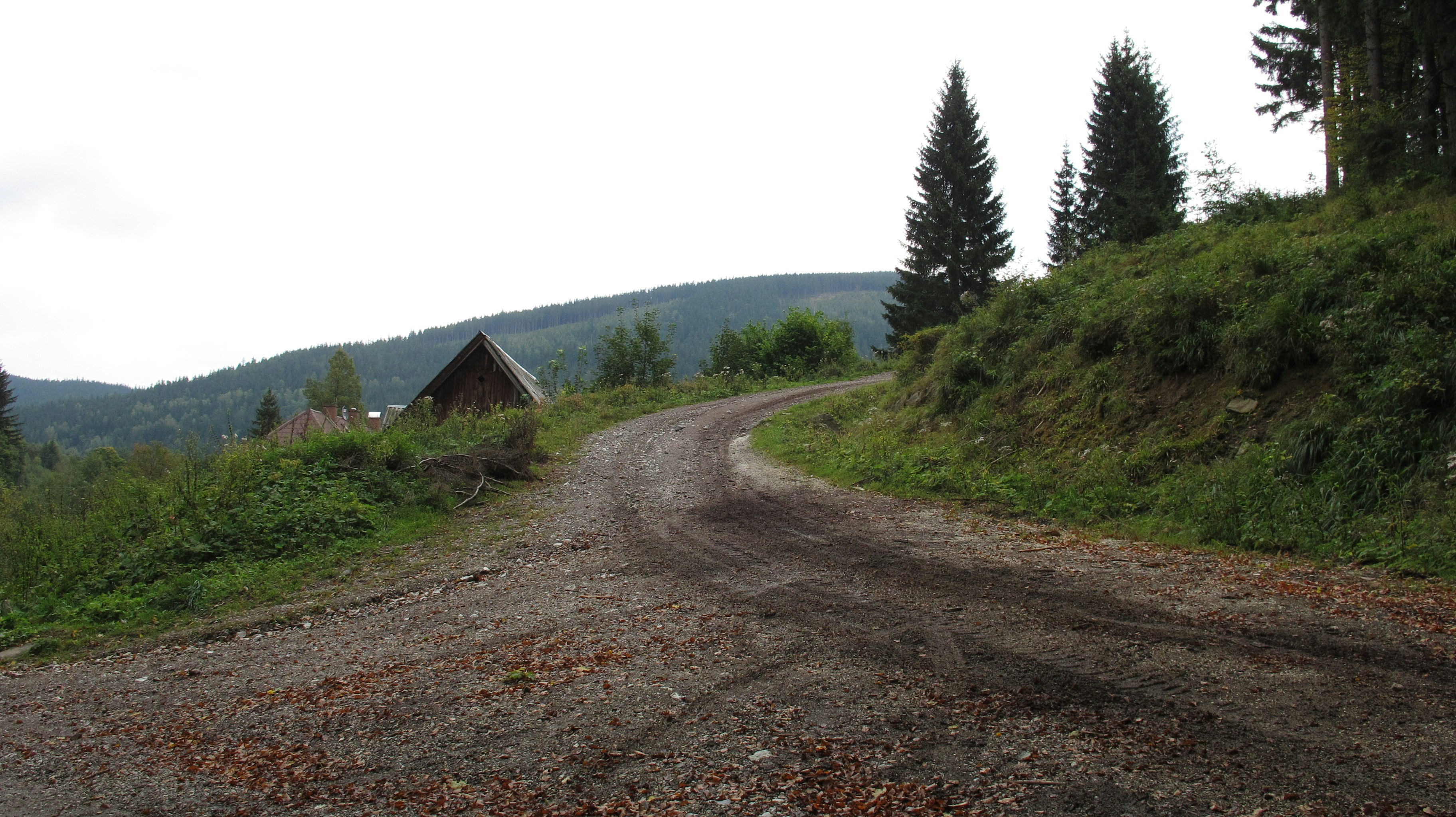 Photo by marek_ruczaj