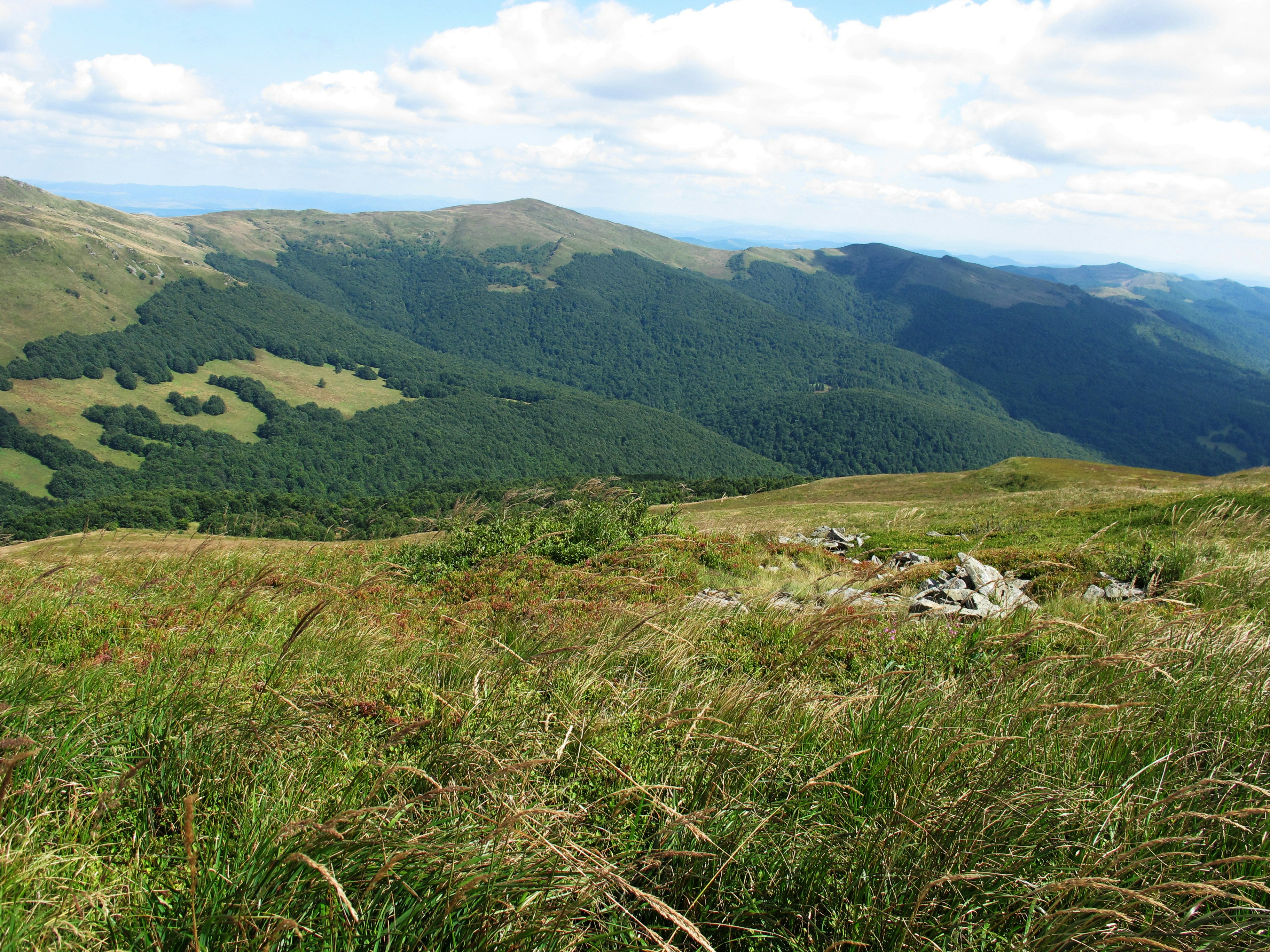 Photo by marek_ruczaj
