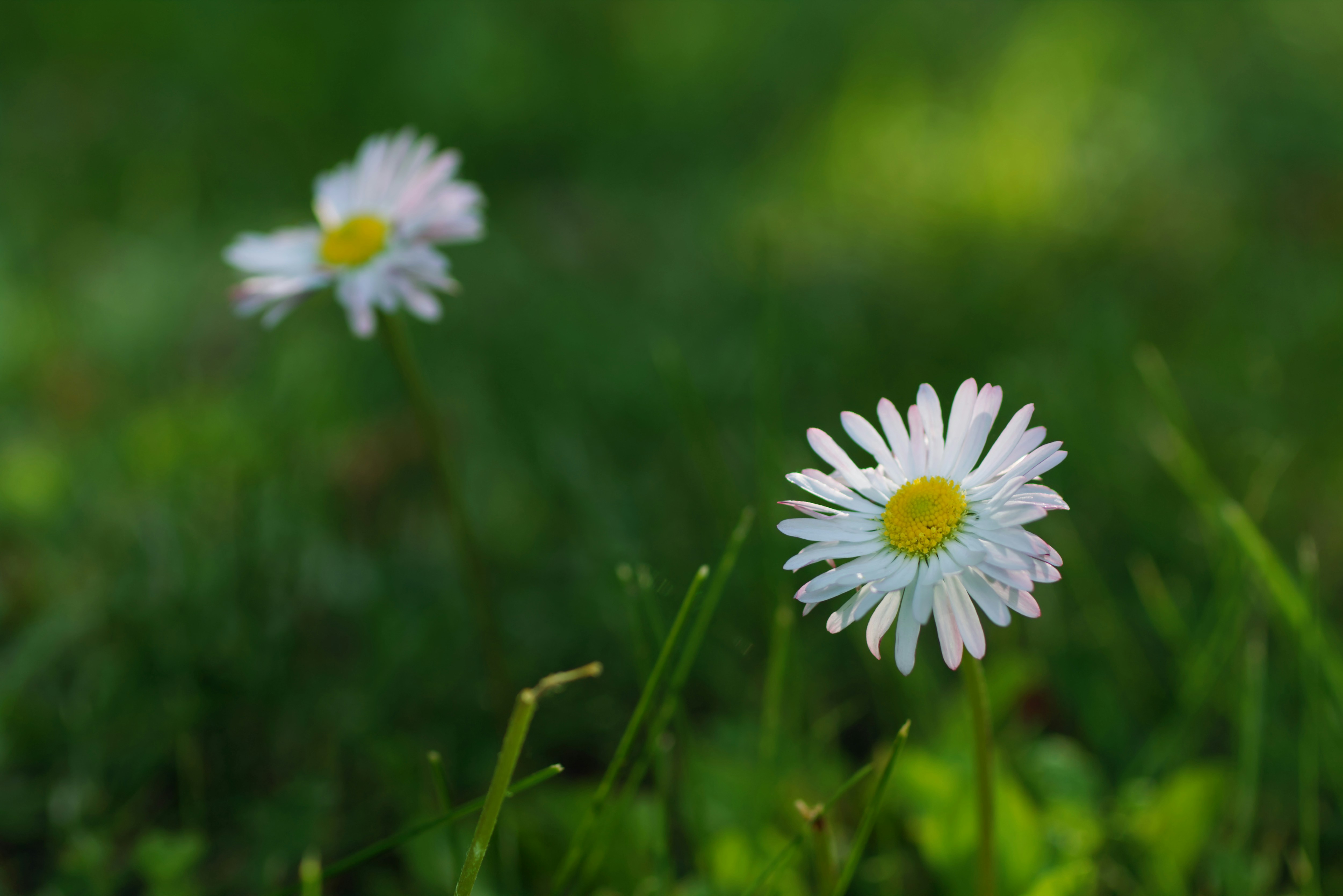 Photo by marek_ruczaj