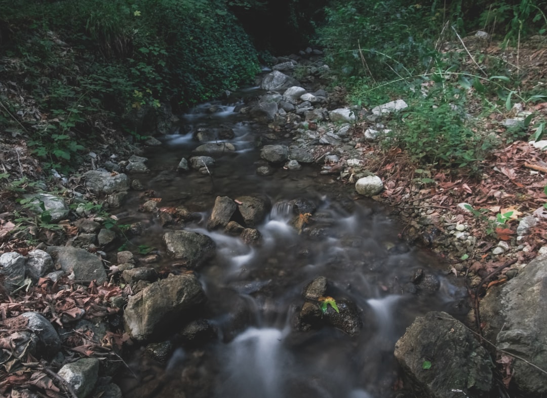 water flowing on rocks in the woods