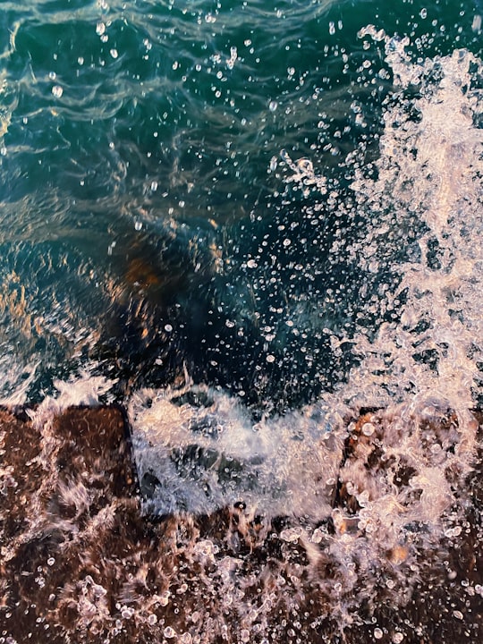 brown rocky shore during daytime in Manistee United States