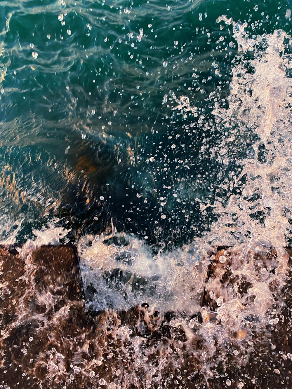 brown rocky shore during daytime