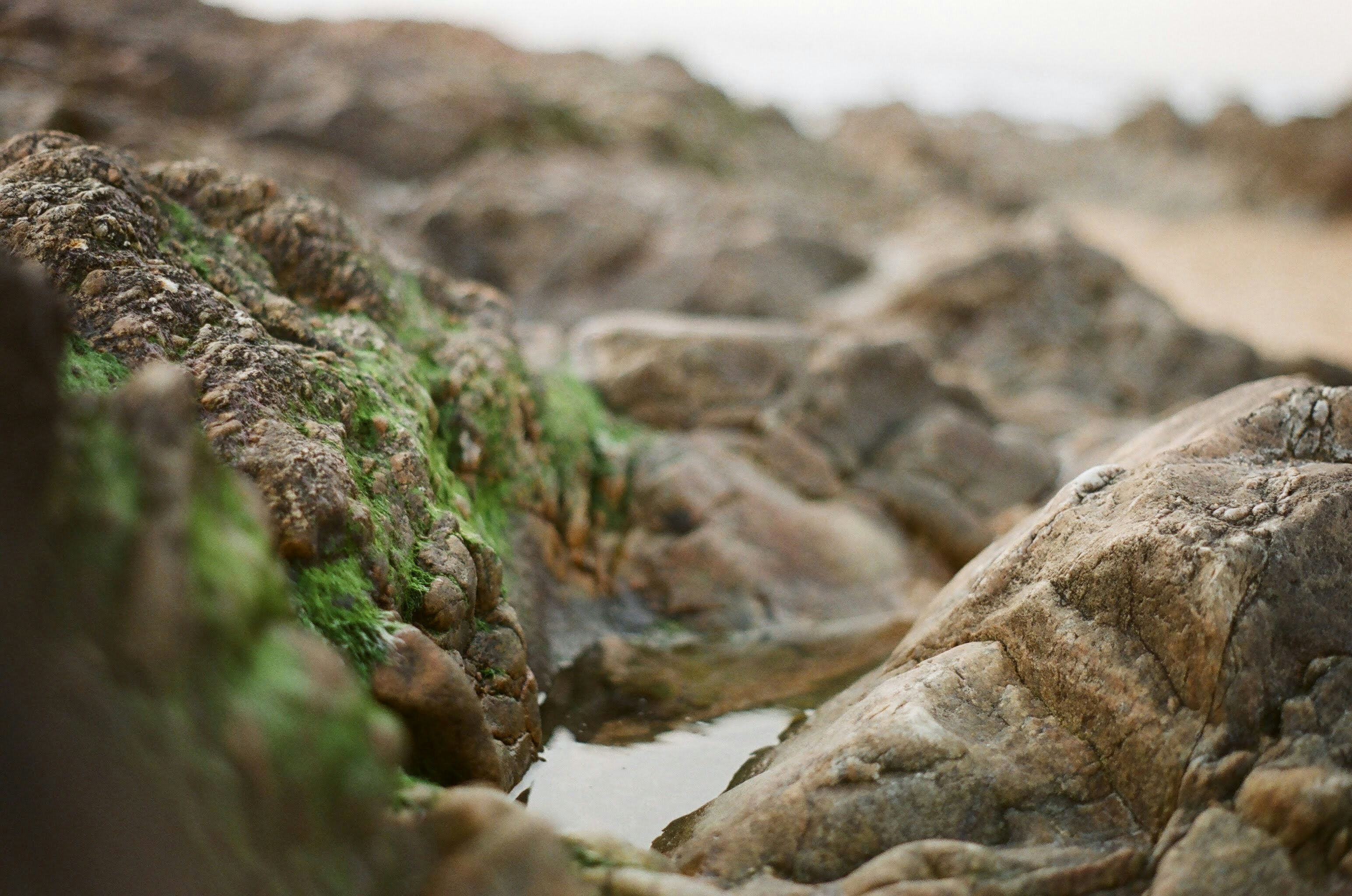 Photo by zaurgiyasov