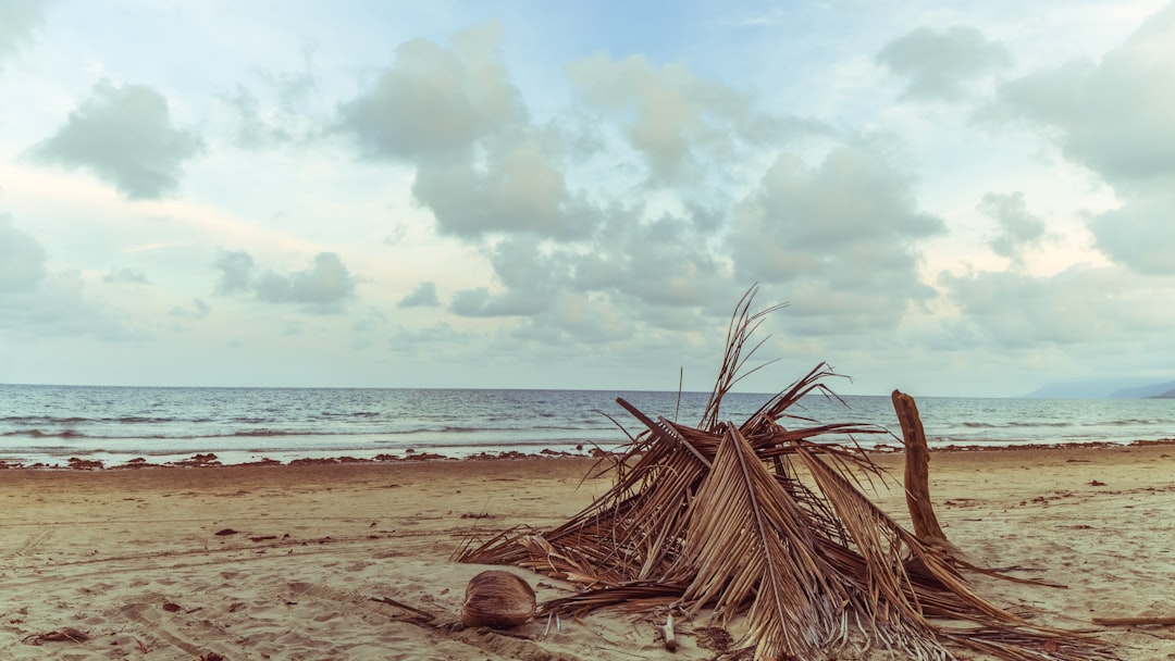 Beach photo spot Port Douglas QLD Port Douglas