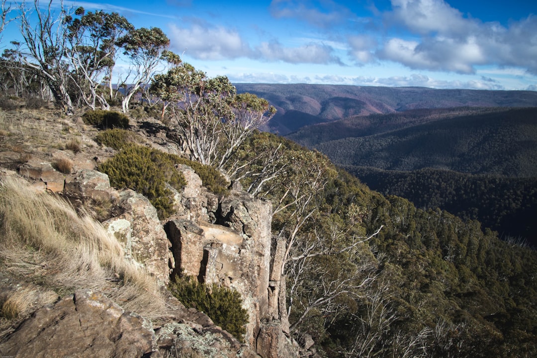 photo of Dinner Plain VIC Badlands near Falls Creek