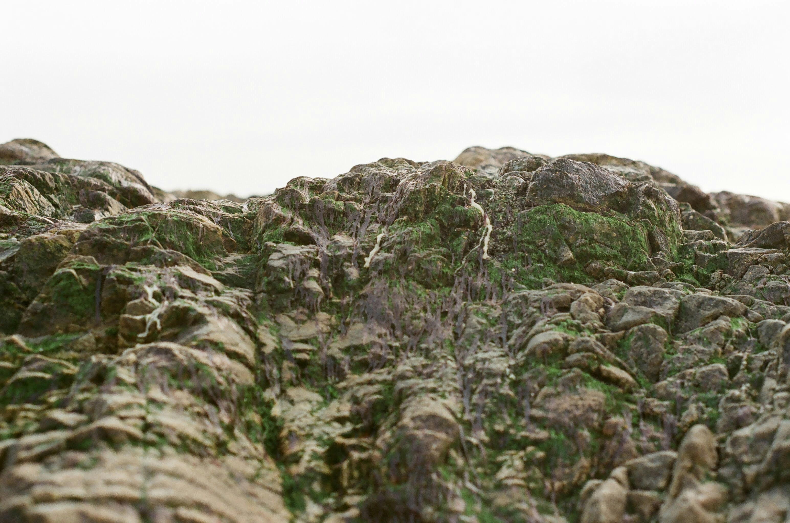 Photo by zaurgiyasov