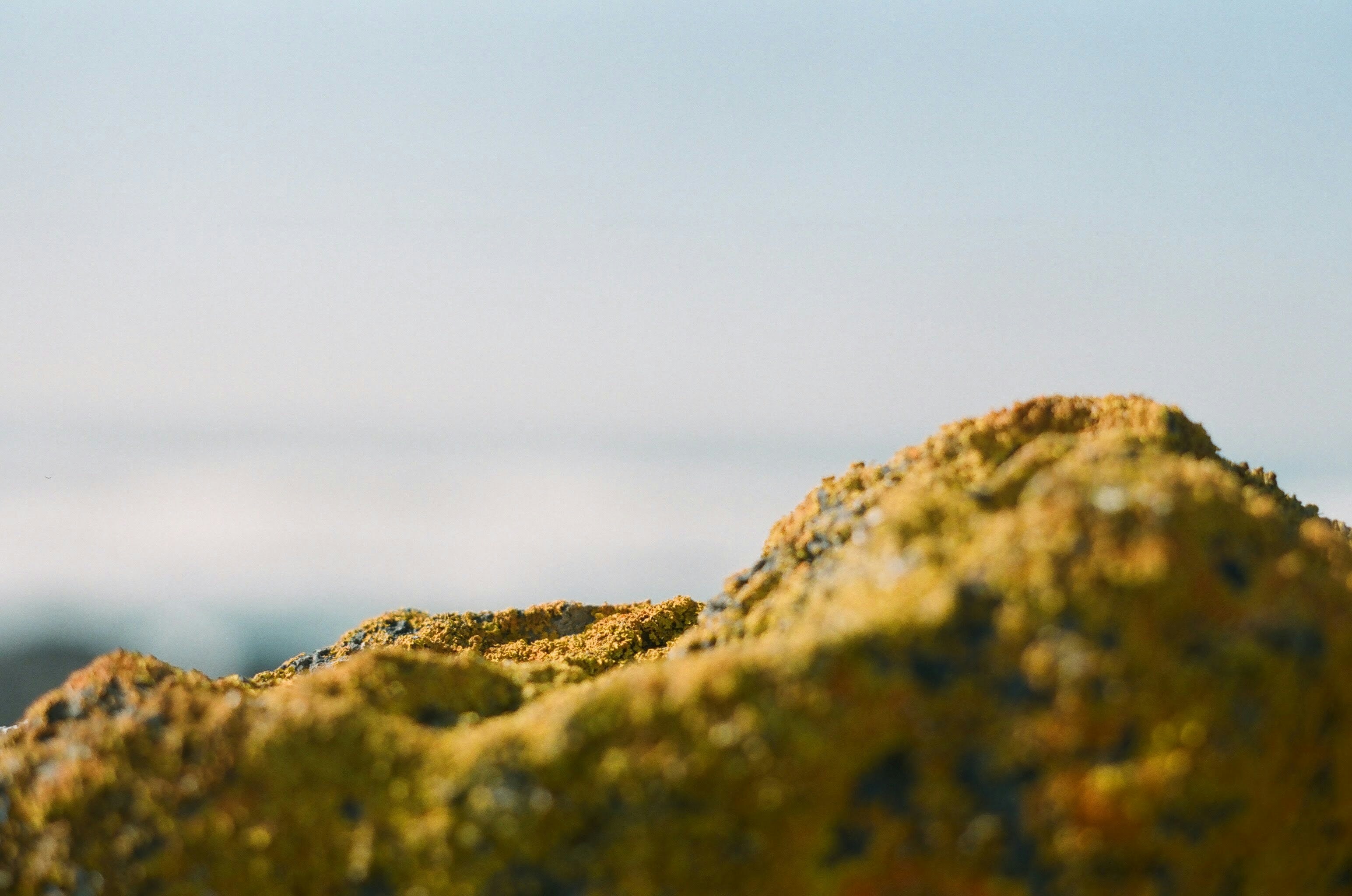 Photo by zaurgiyasov