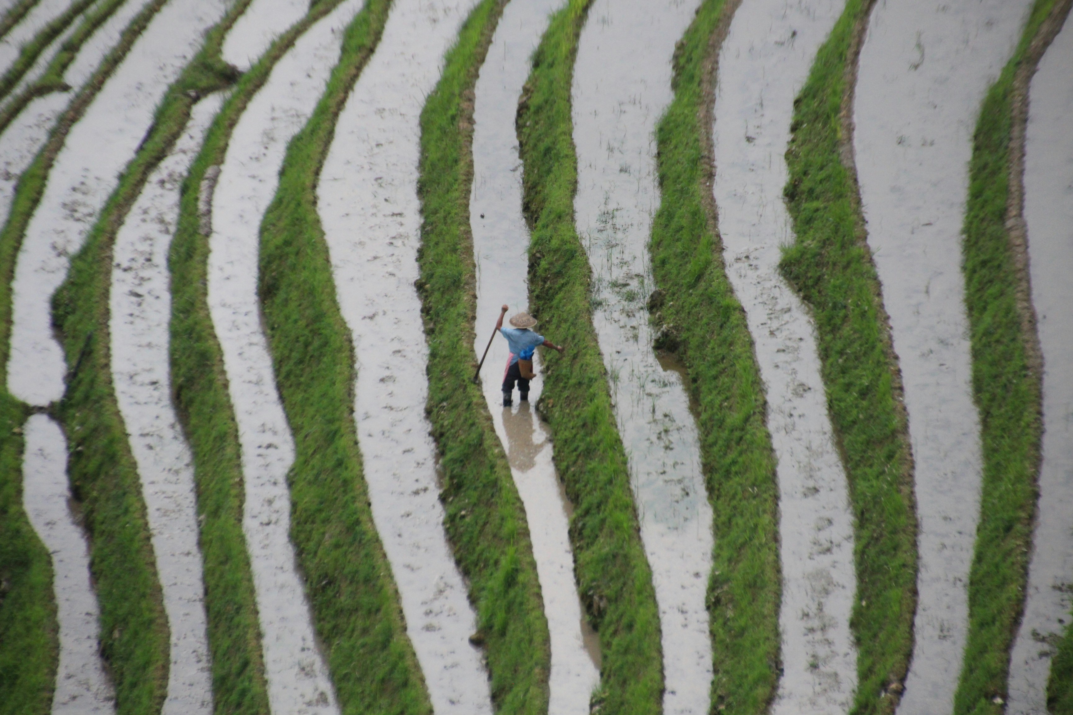 Photo by parsleyball