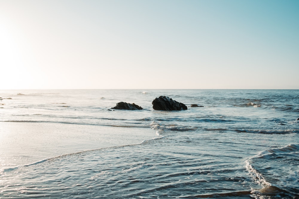 Les vagues de l’océan s’écrasent sur le rivage pendant la journée