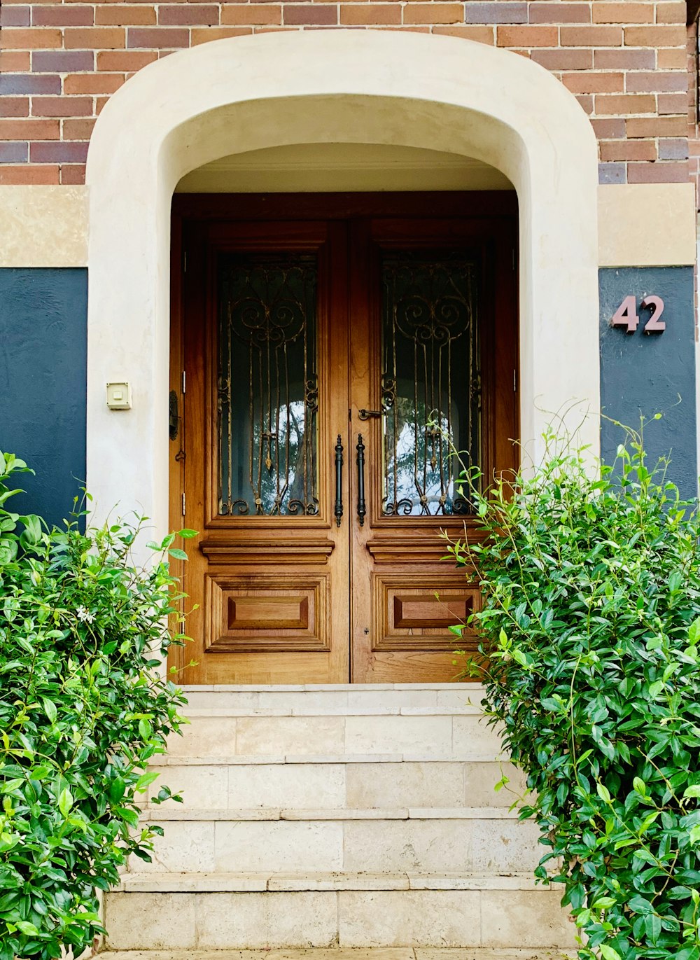 green plant beside brown wooden door