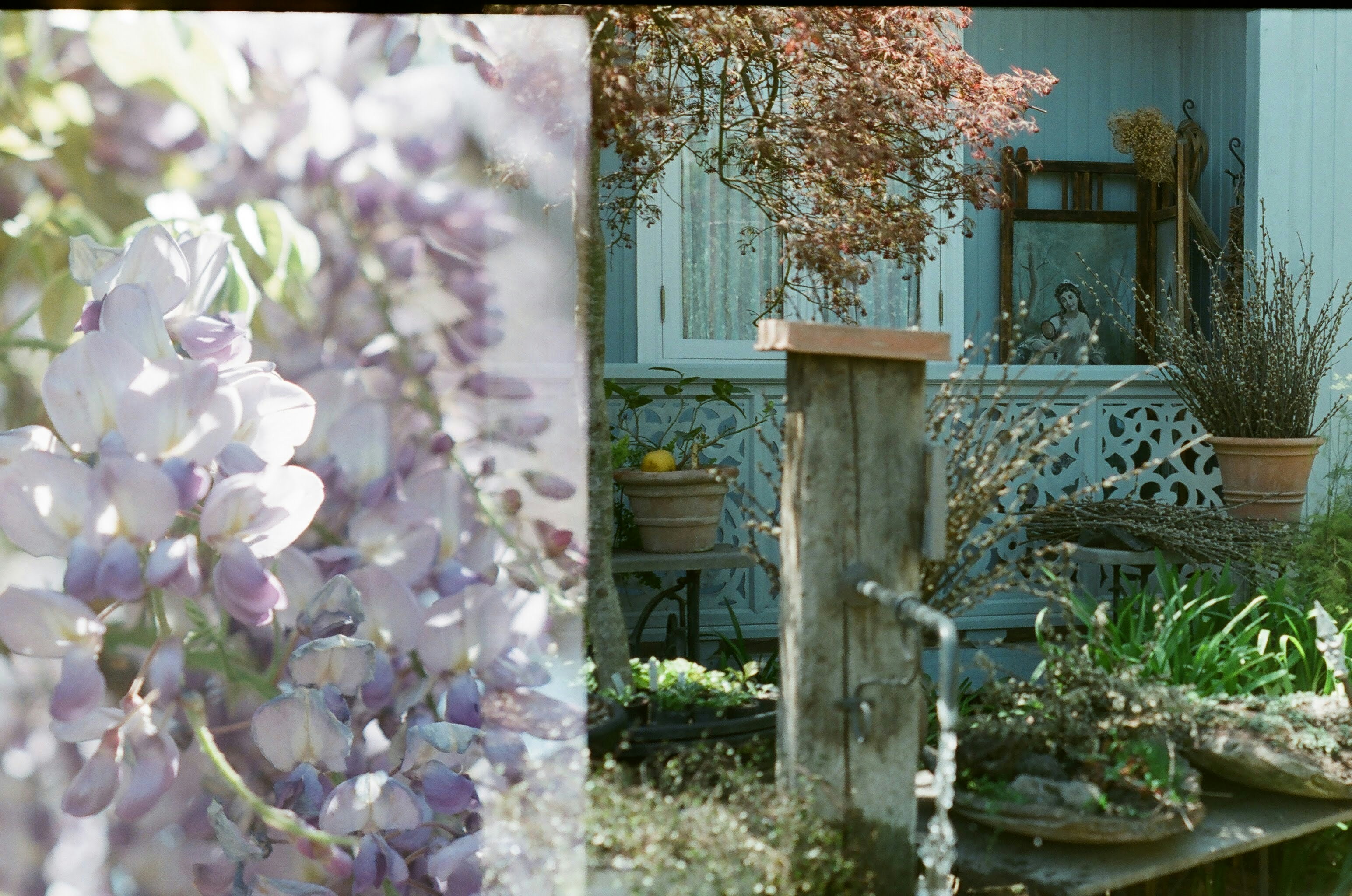 white and purple flowers on brown wooden table