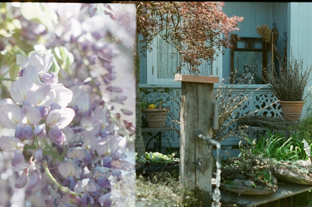 white and purple flowers on brown wooden table