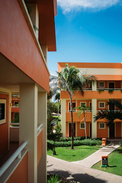 palm tree in front of brown and white concrete building