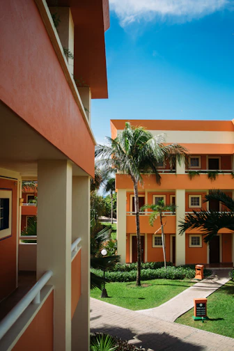 palm tree in front of brown and white concrete building