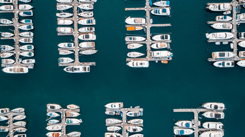 white and blue boat on sea during daytime