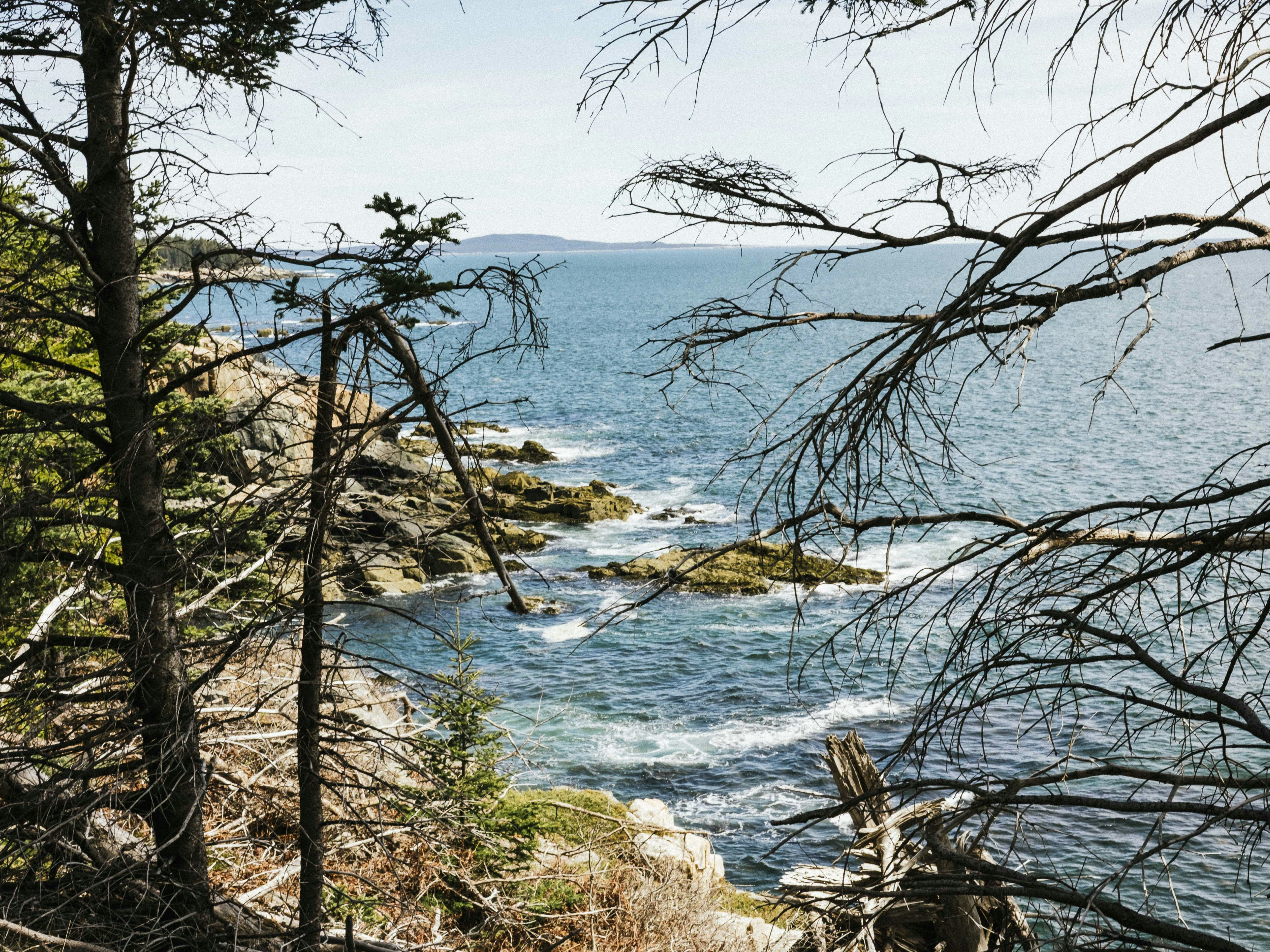 Photo by jackieboylhart