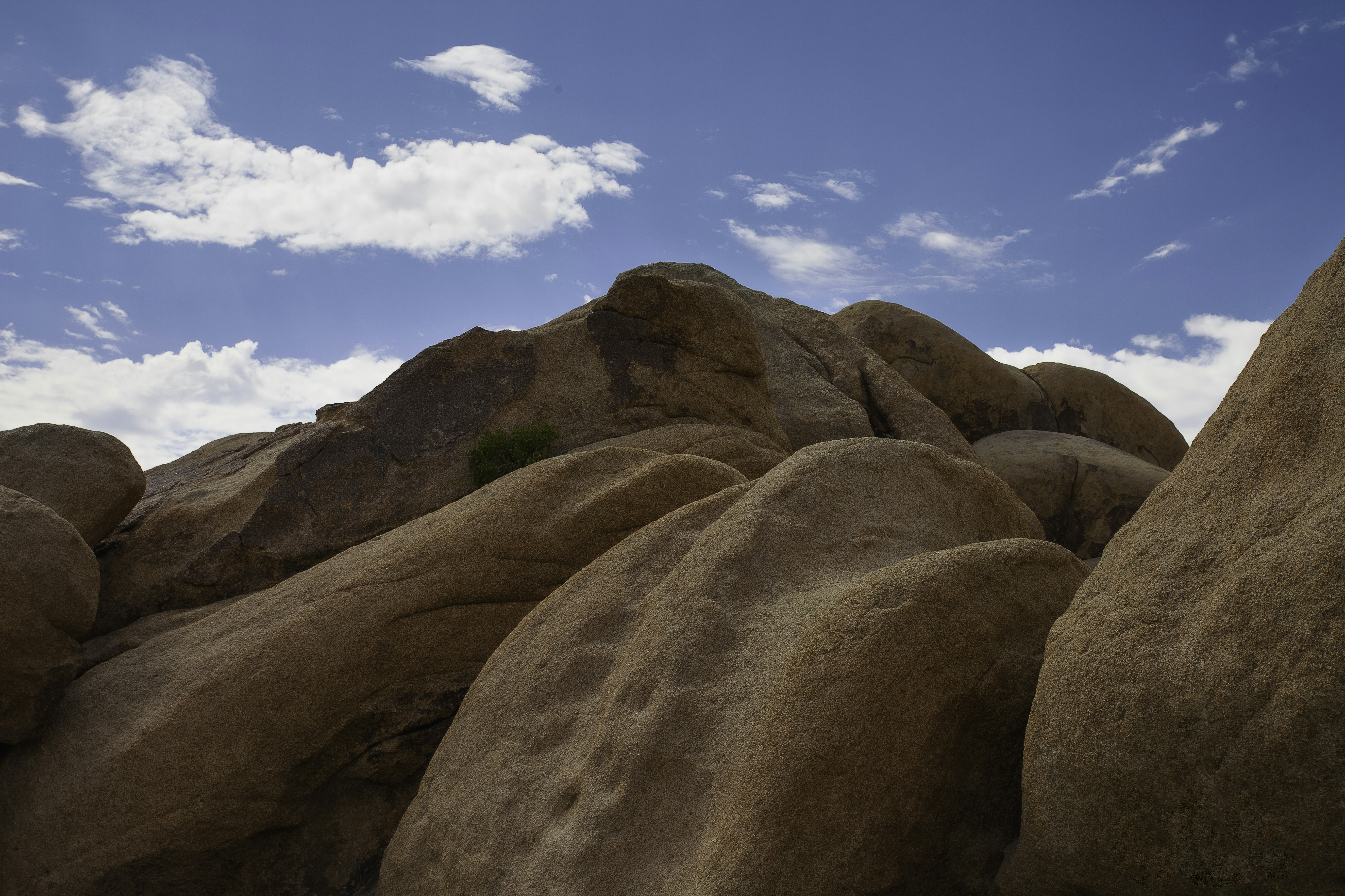 Photo by capturedbyjavi