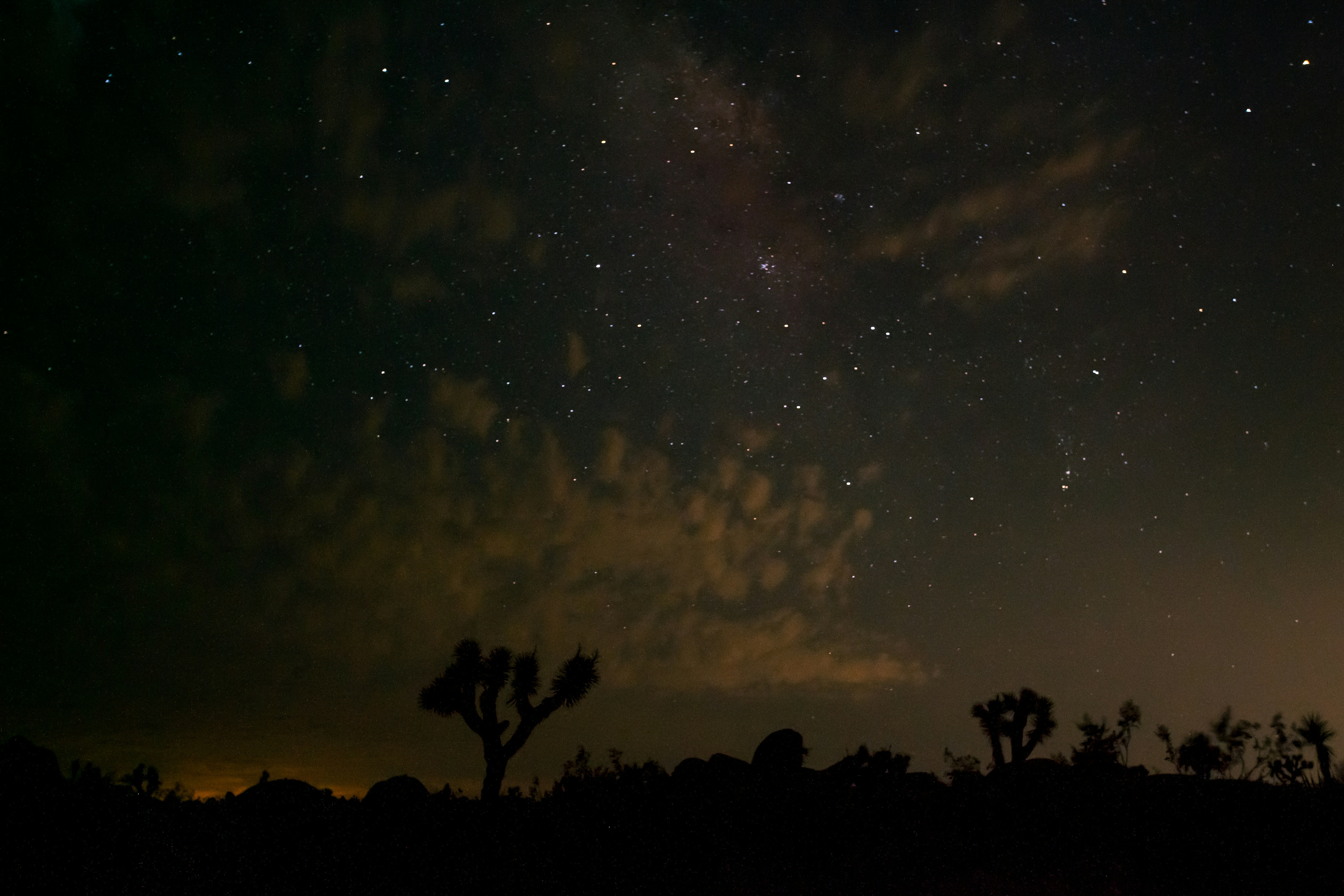 Photo by capturedbyjavi