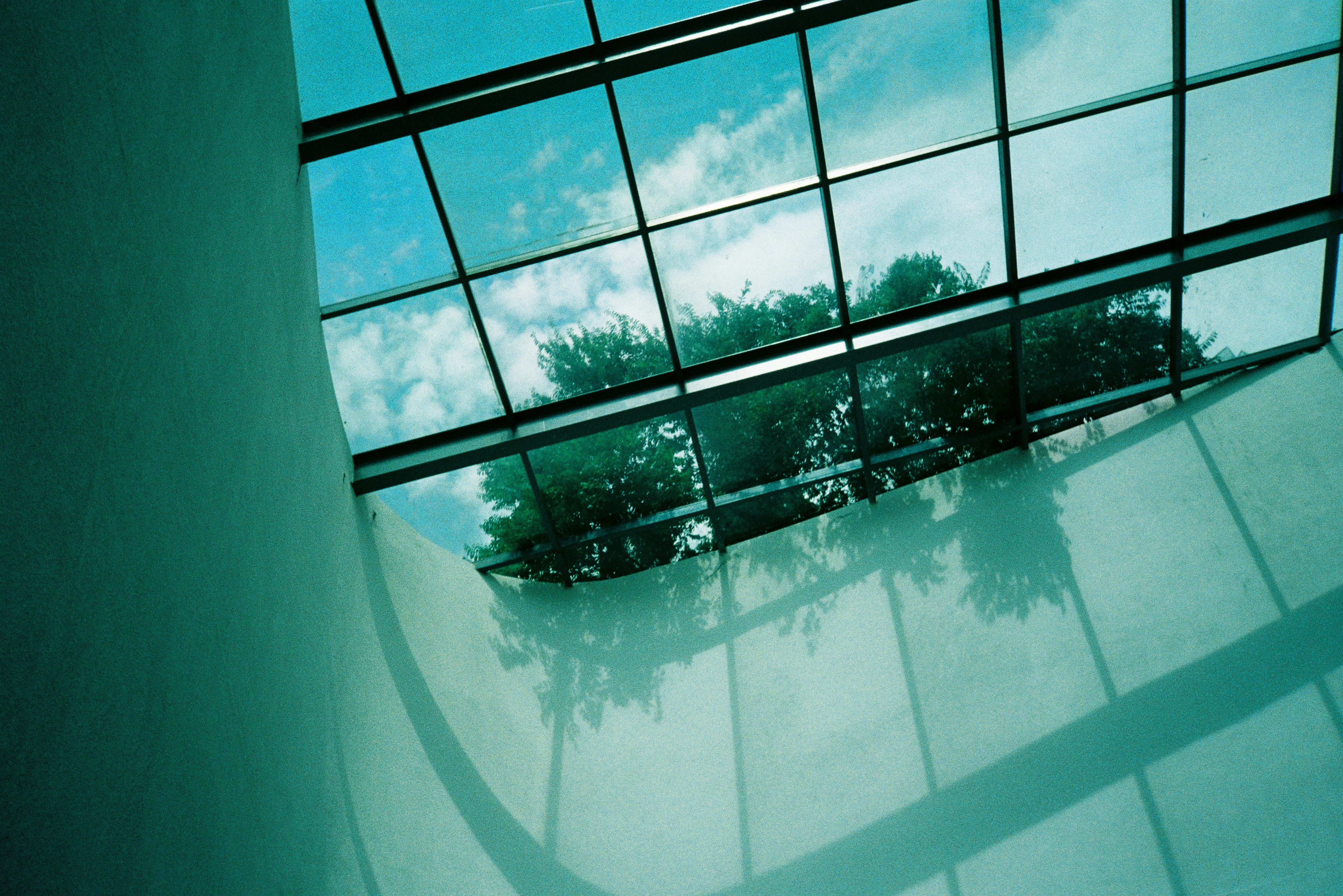 Suntek Window Film Review For Your Car