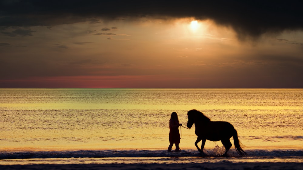 silhouette of 2 people walking on beach during sunset