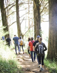 people walking on dirt road between trees during daytime