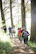 Hikers walking along a lush forest trail under dappled sunlight.