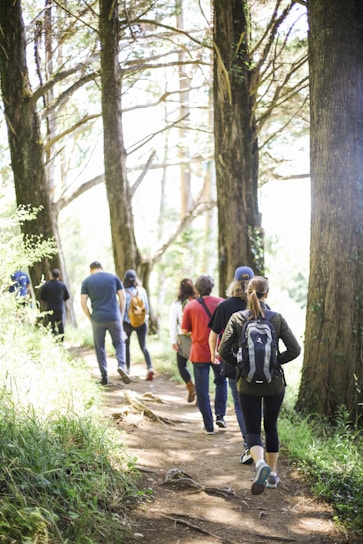 A group of hikers walking together on a sunlit forest trail, sharing smiles and enjoying nature.