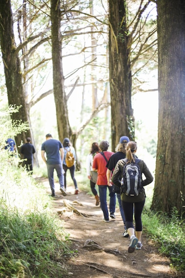 Hikers walking along a forest trail surrounded by tall trees.