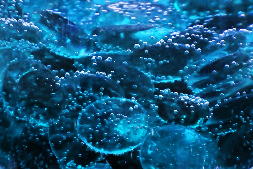 goccioline d'acqua sul vetro durante il giorno