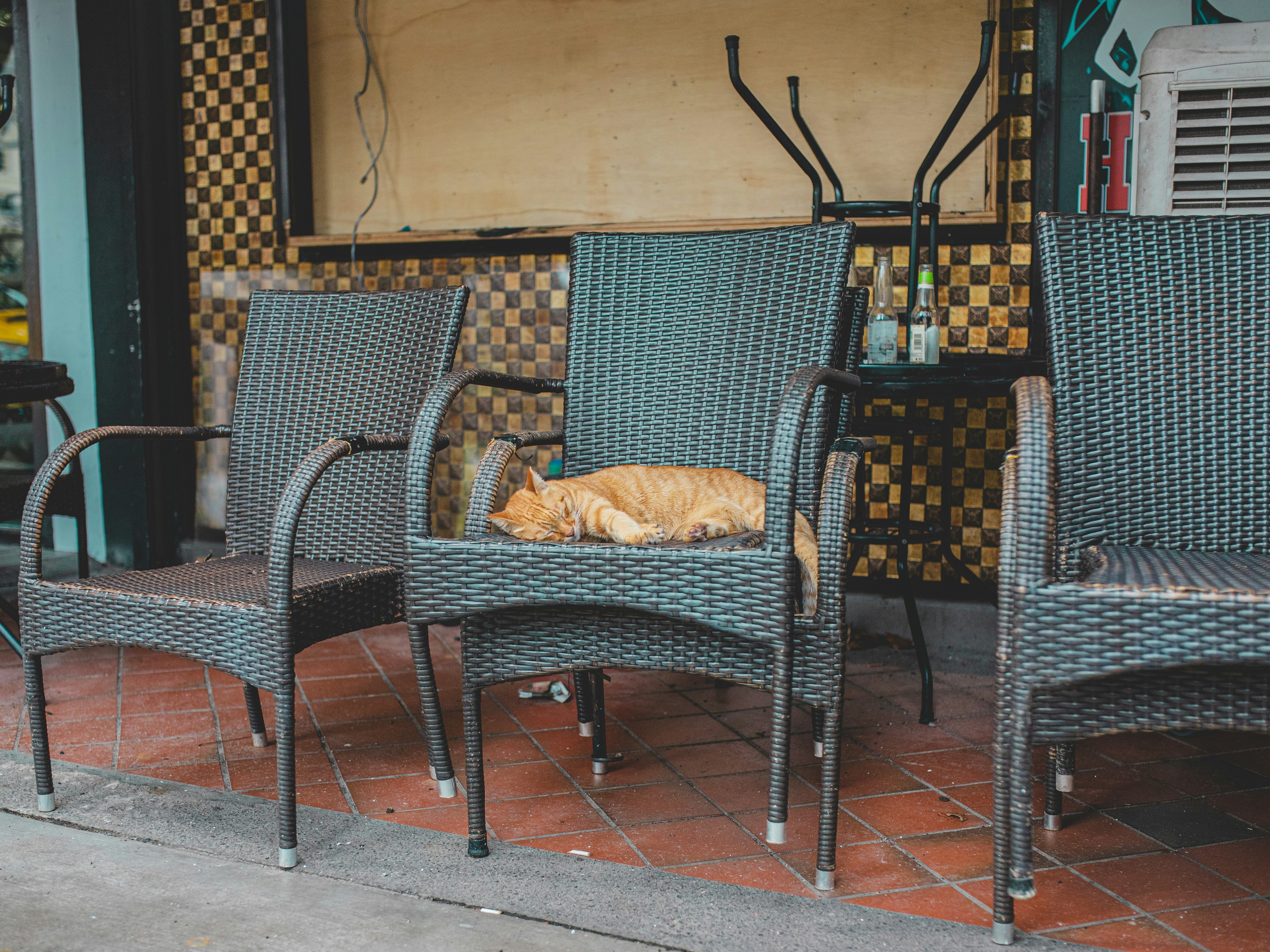 Snsを通じて社会的発言を広める アームチェア アドボケイト 気軽に いいね できることの責任とは Eleminist エレミニスト