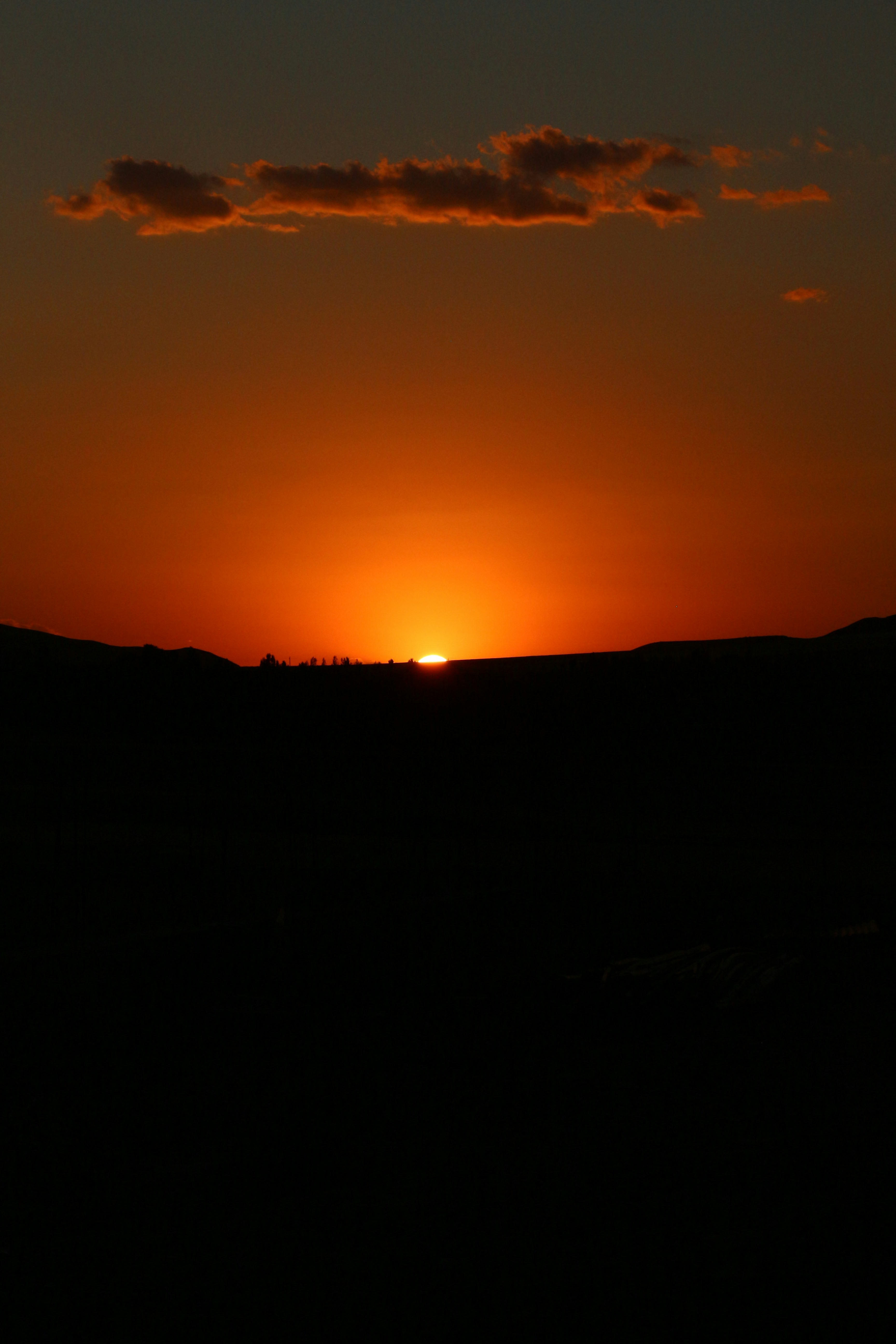 Photo by arya_beikzadeh