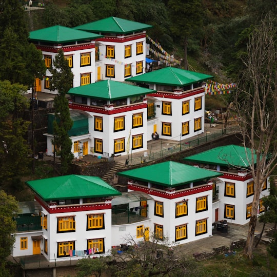 white and green concrete house in Happy Valley India