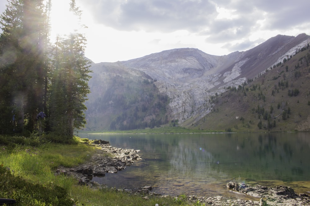 árvores verdes perto do lago sob o céu branco durante o dia