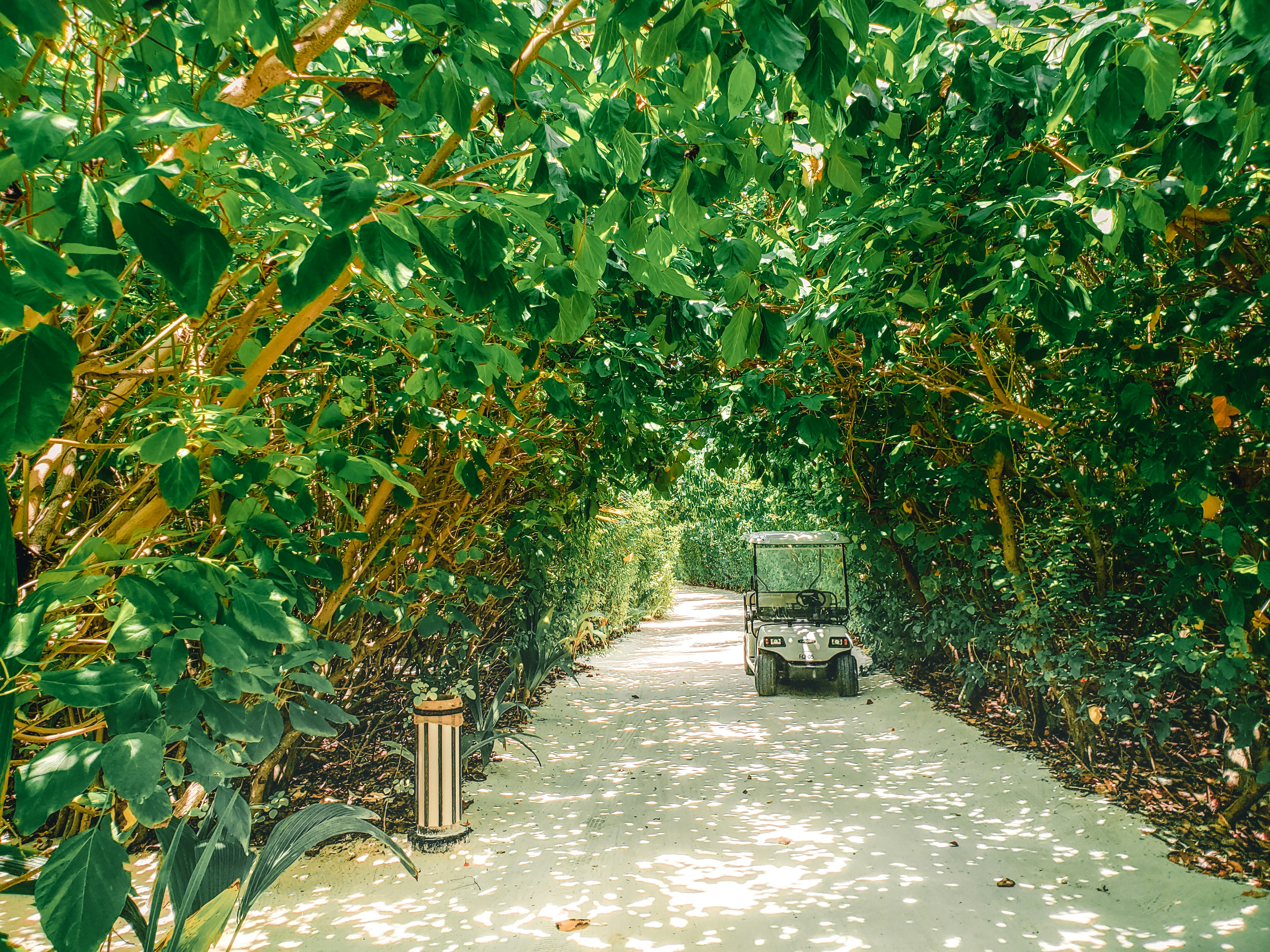 Photo by weweclub_wewe