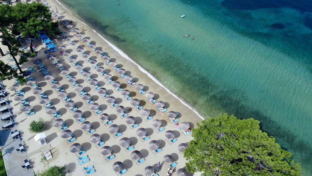 Gente en la playa durante el día