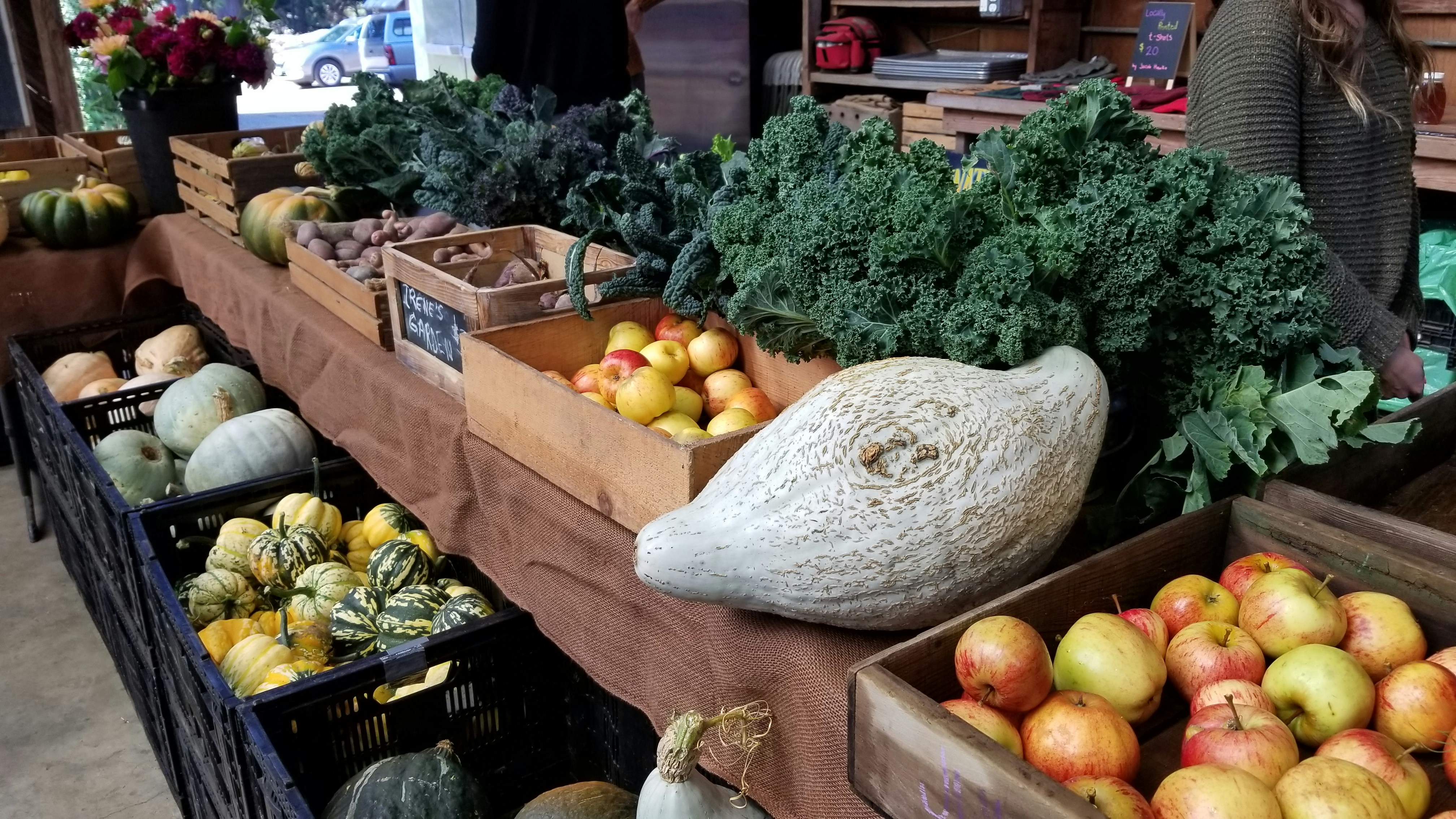 Fresh Market Finds