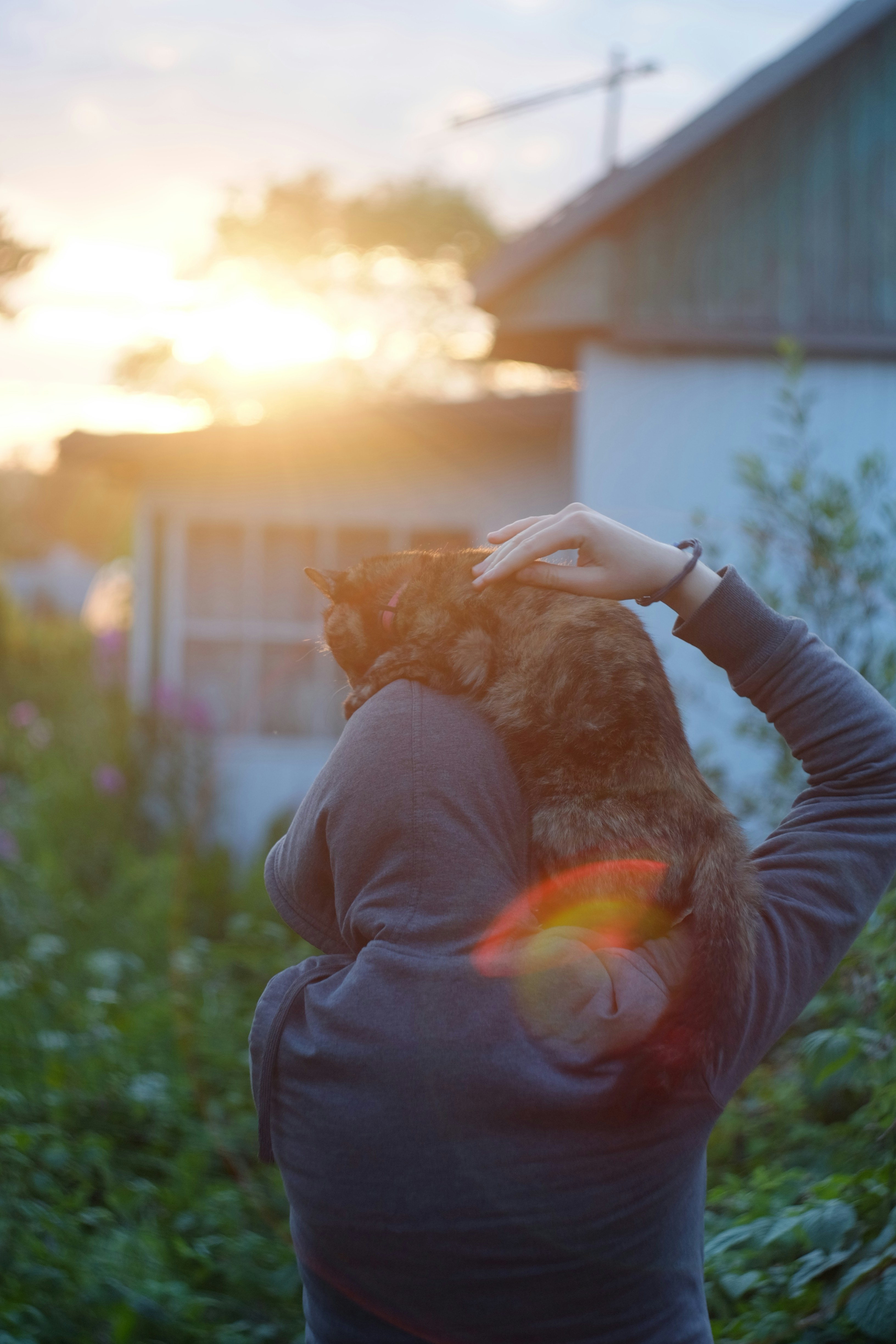 Making Every Day a Little Brighter (image credits: unsplash)