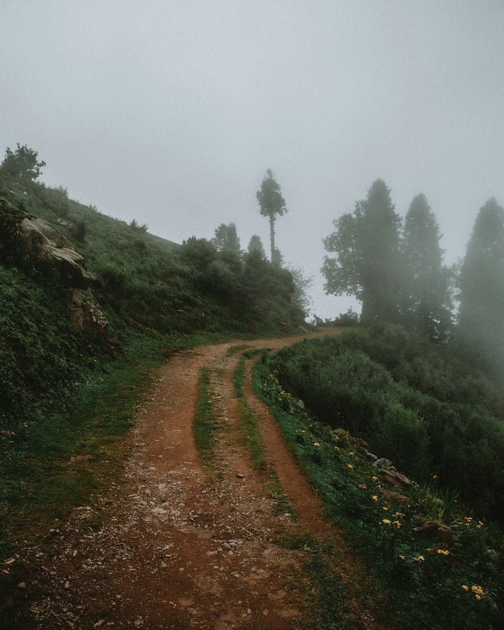 brown dirt road between green grass field during foggy day