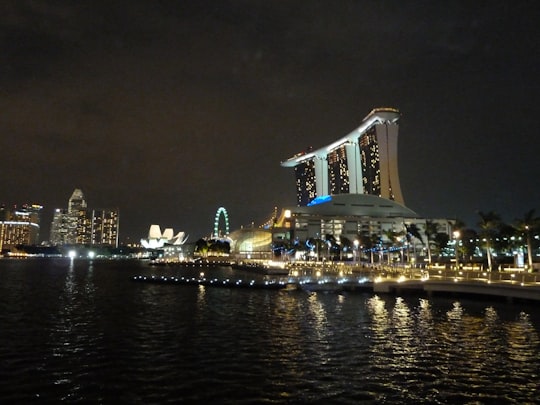 white and brown concrete building near body of water during night time in Marina Bay Sands Singapore