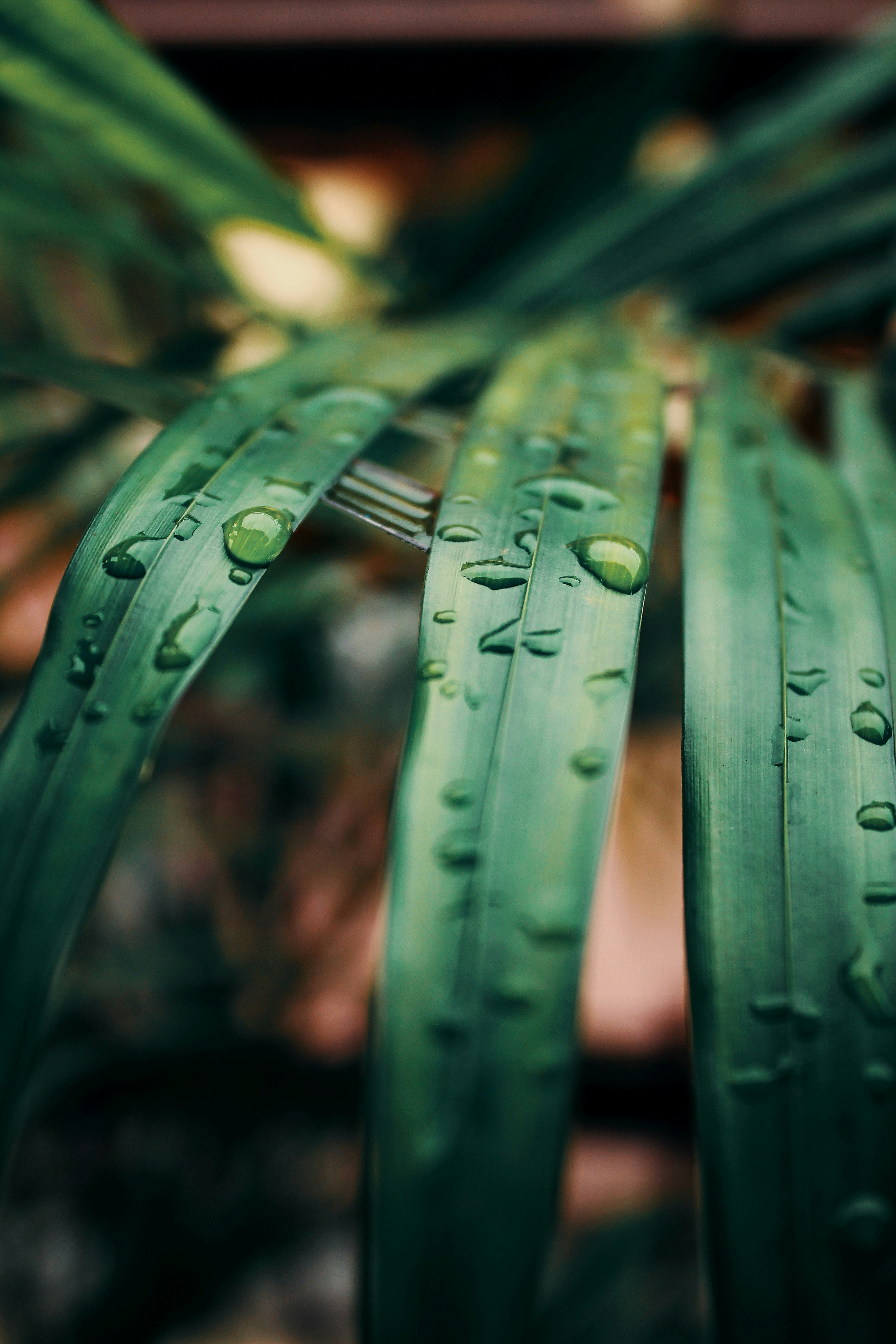 Photo by wink_to_click