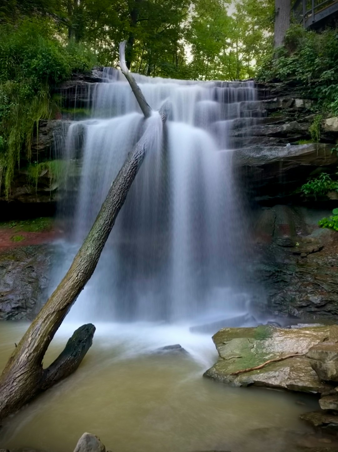 Waterfall photo spot Great Falls Bruce Trail Chedoke Park