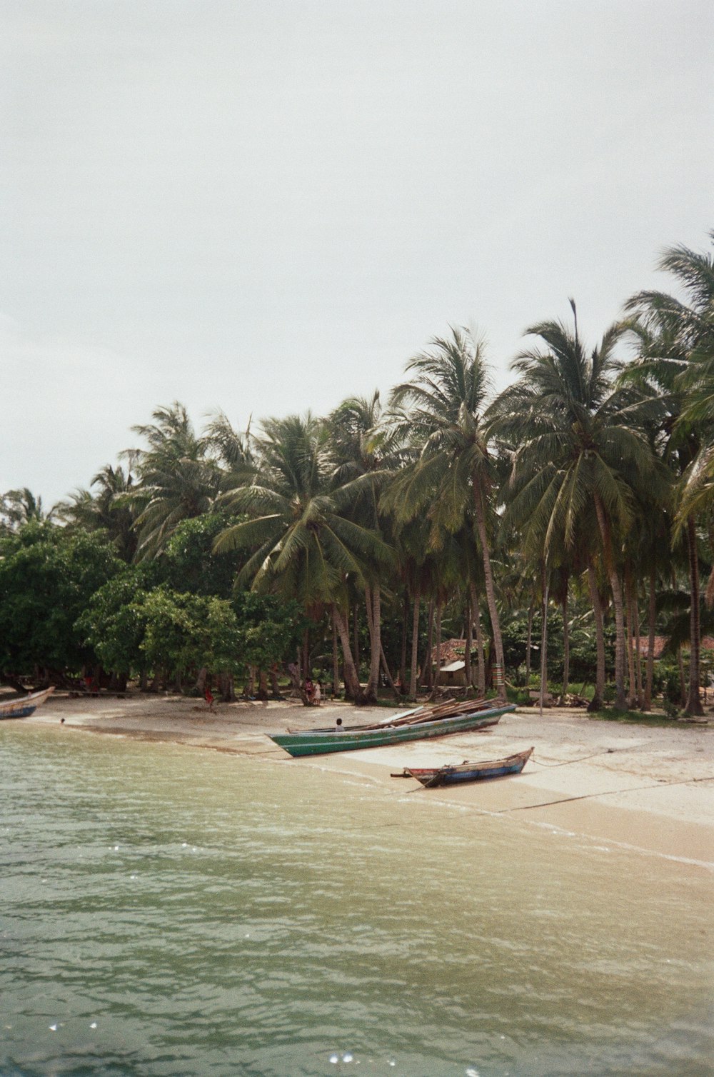 white and blue boat on beach during daytime