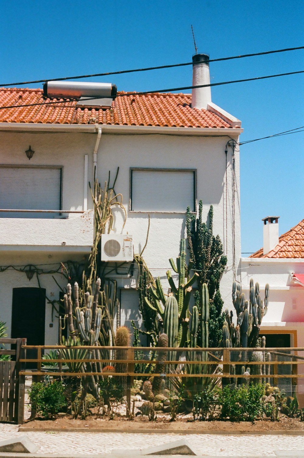 green palm tree near white concrete house during daytime