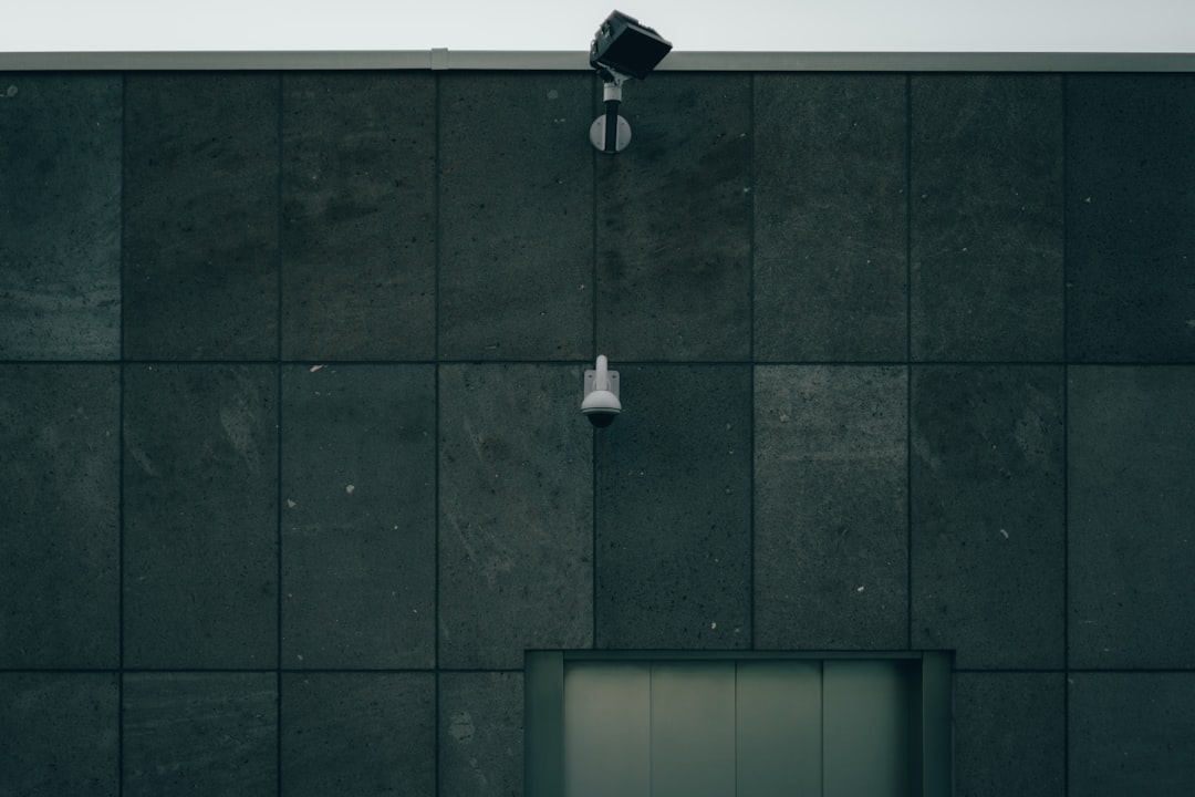 black and white pendant lamp