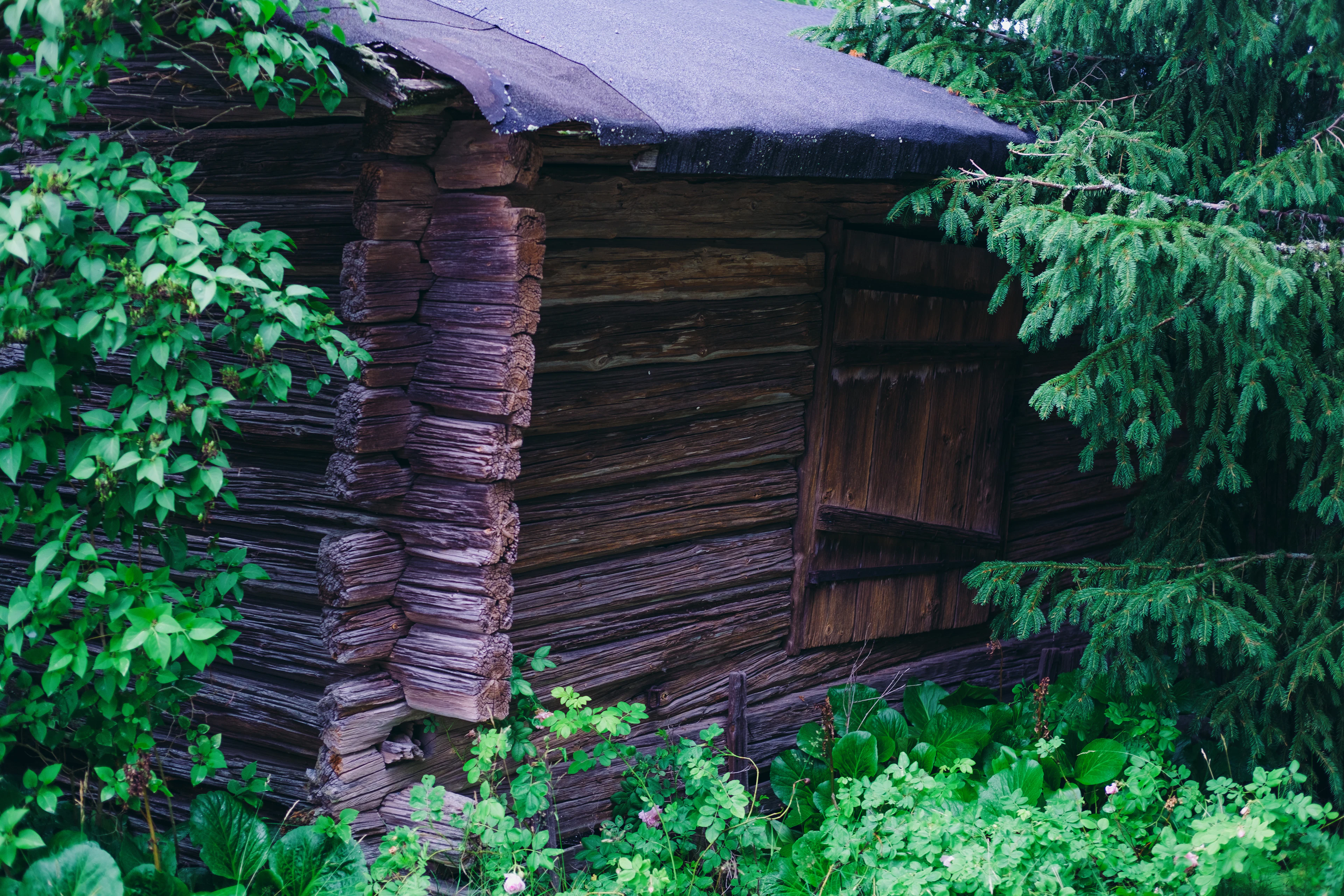 Shed Removal in Zebulon, NC
