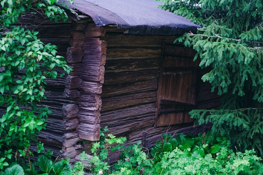 brown wooden house surrounded by green plants in Orivesi Finland