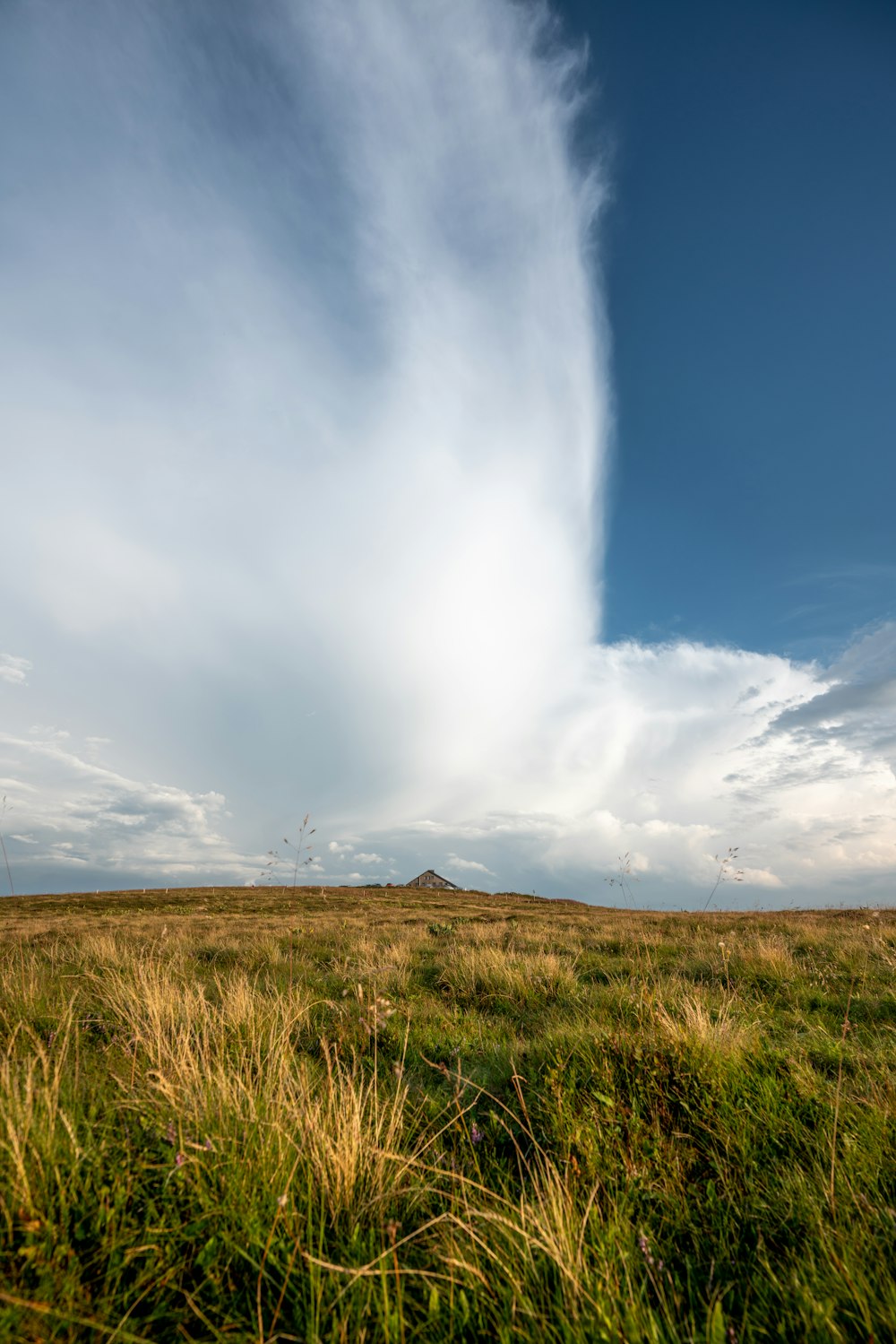 green grass field under blue sky and white clouds during daytime