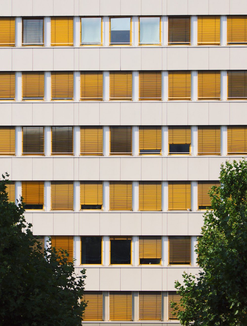 edificio in cemento bianco e marrone