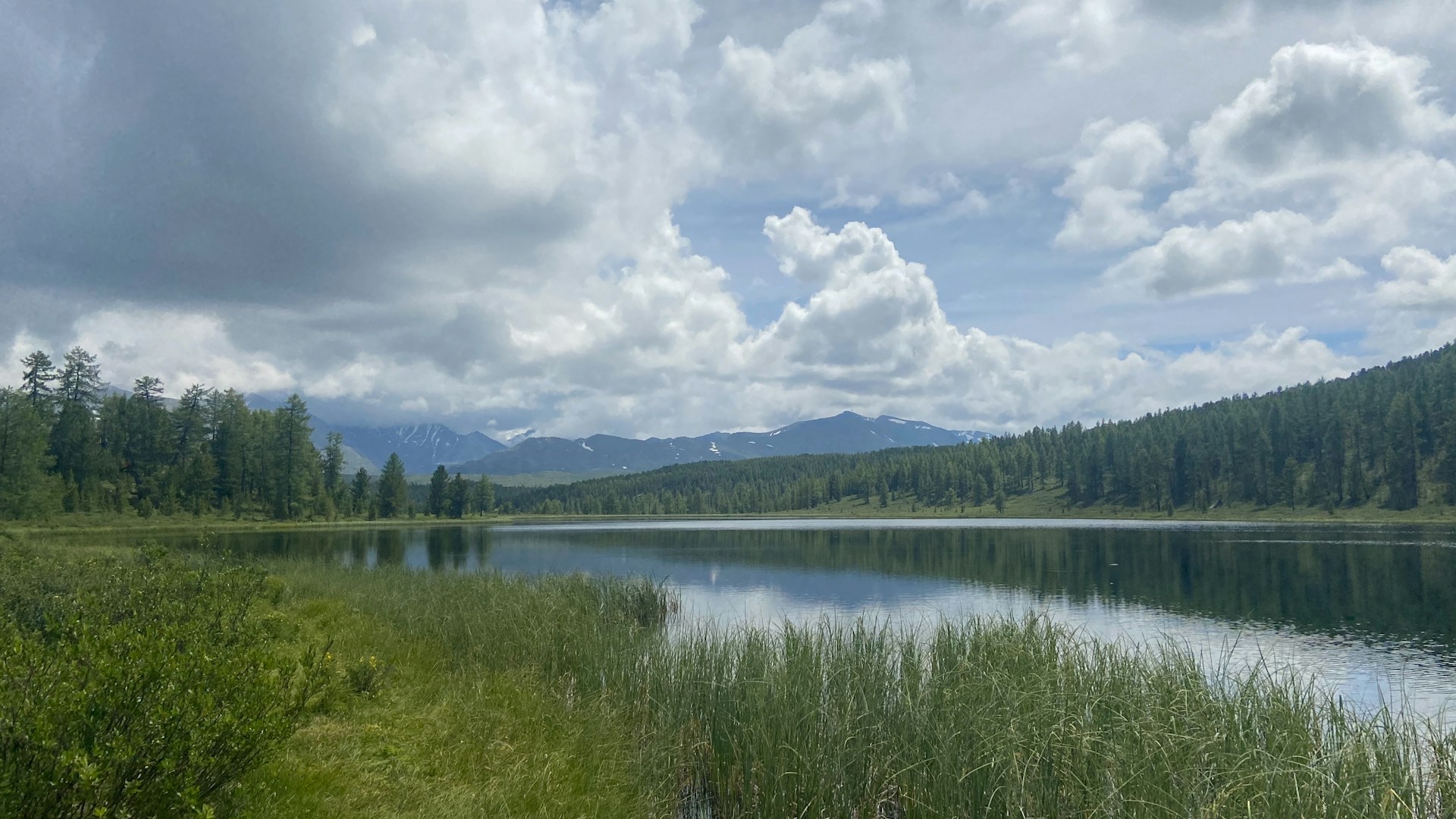 green trees beside lake under white clouds during daytime